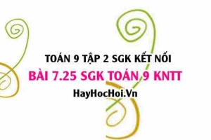 Bài 7.25 SGK Toán 9 tập 2 Kết nối tri thức